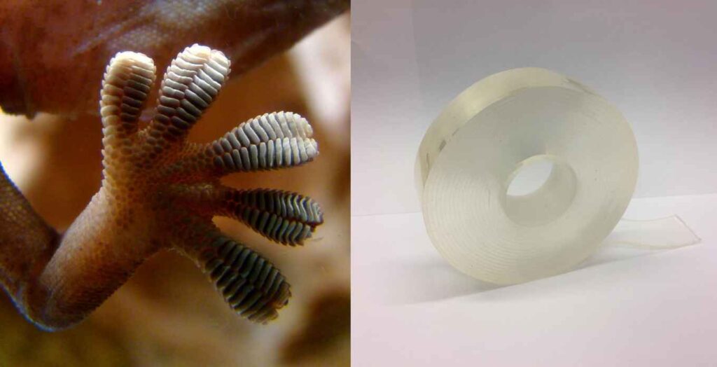 How Does Adhesive Tape Work