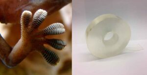 How Does Adhesive Tape Work